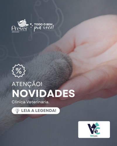 Garantir O bem-estar de quem nos oferece amor incondicional todos os dias é uma verdadeira demonstração de cuidado. 