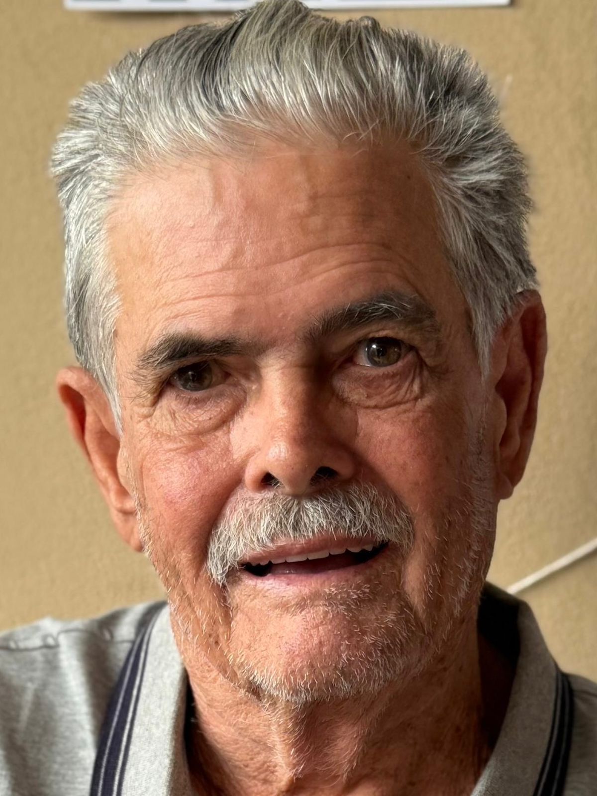 Antonio Ruiz Bueno Sanches (Toninho da Pedra)