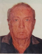Antonio Francisco Penariol