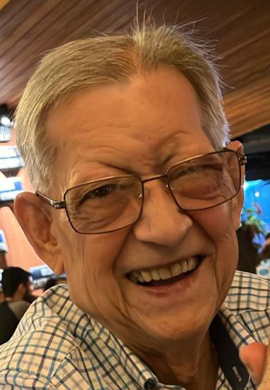 David Ariovaldo Banzatto