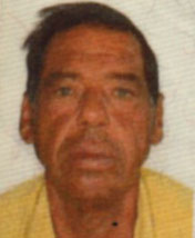 José Vergilio Greggio  ( Greggio)
