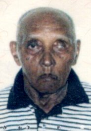 José Vieira Silva